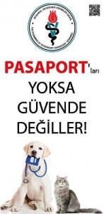 Pasaport Yoksa Güvende Değiller!-Mert-Eden