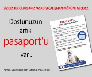 Dostunuzun Artık Pasaport'u Var-Mert-Eden