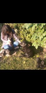 üniversite bahçesinden